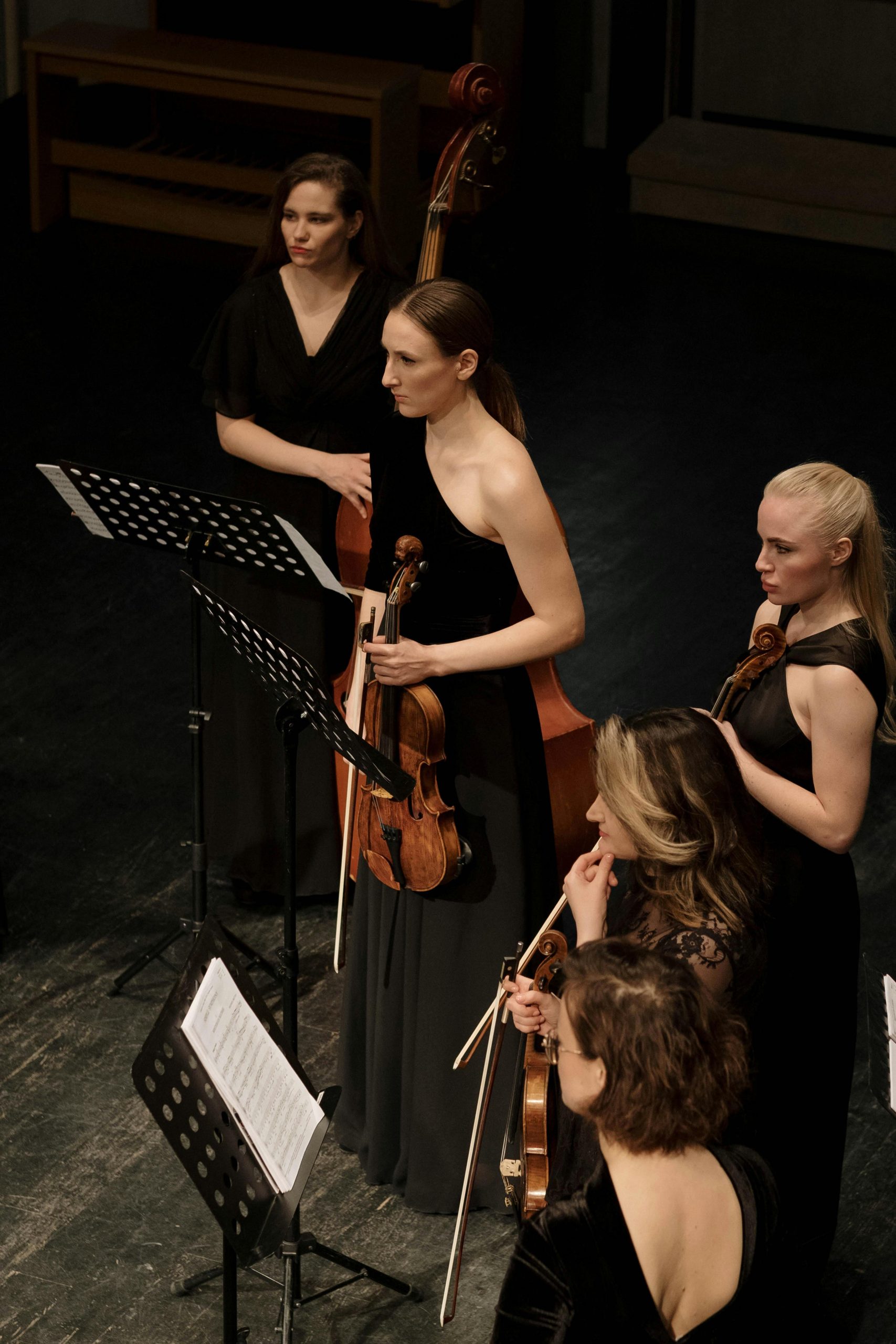 pexels-cottonbro-7095828